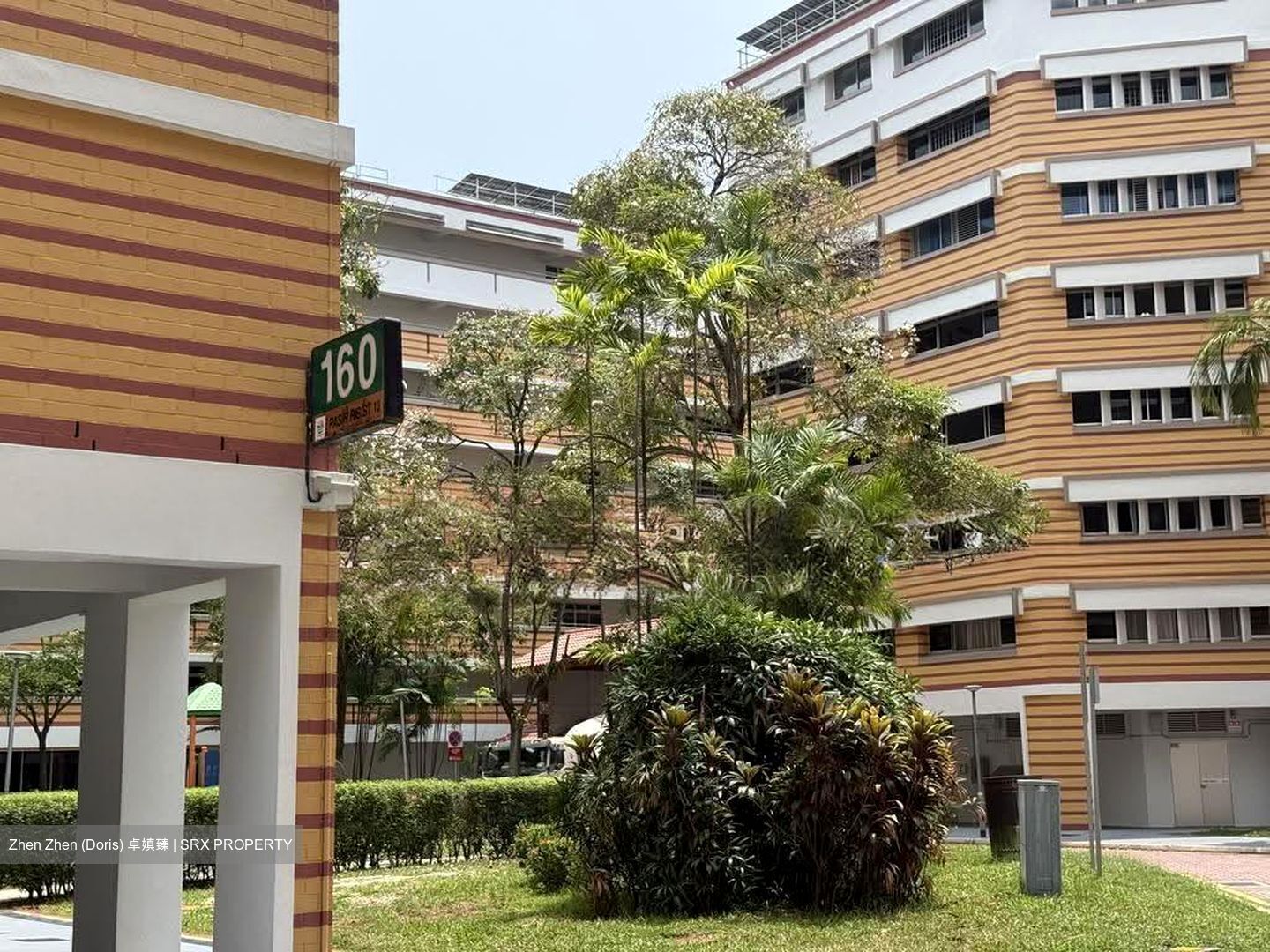 Blk 160 Pasir Ris Street 13 (Pasir Ris), HDB Executive #628396481